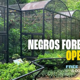 Negros Forest Park - Mea in Bacolod