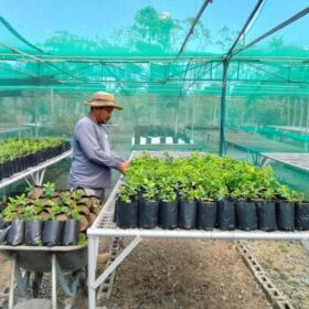 Megaworld now 100% carbon neutral for company-owned mall, office developments | Mea in Bacolod