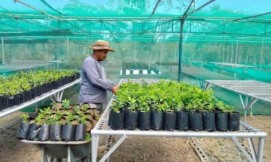 Megaworld now 100% carbon neutral for company-owned mall, office developments | Mea in Bacolod
